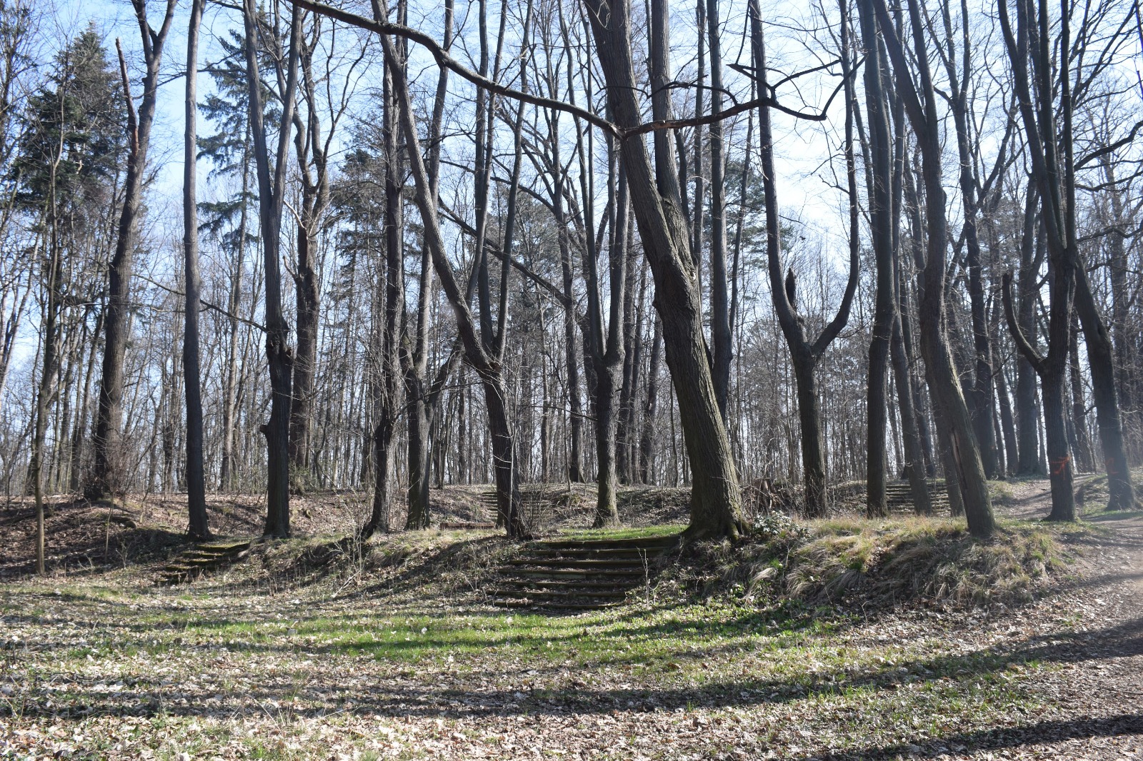 Złotoryja - Góra Mieszczańska