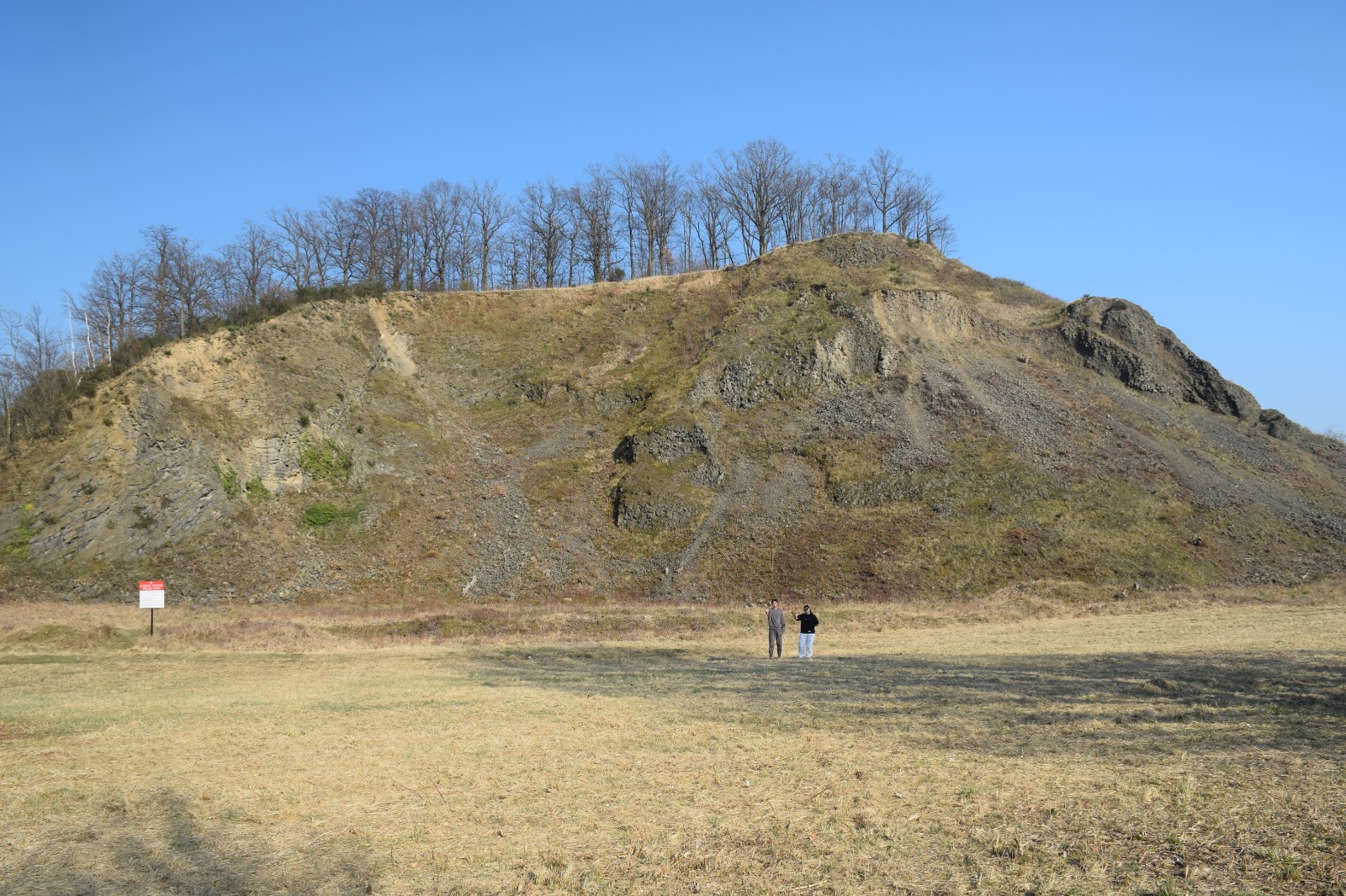 Wilkołak