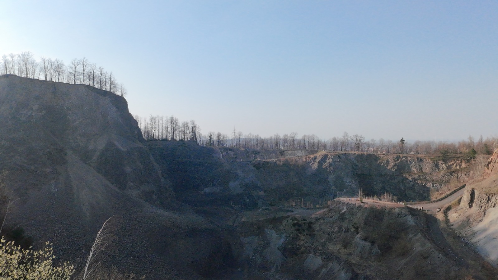 Wilkołak