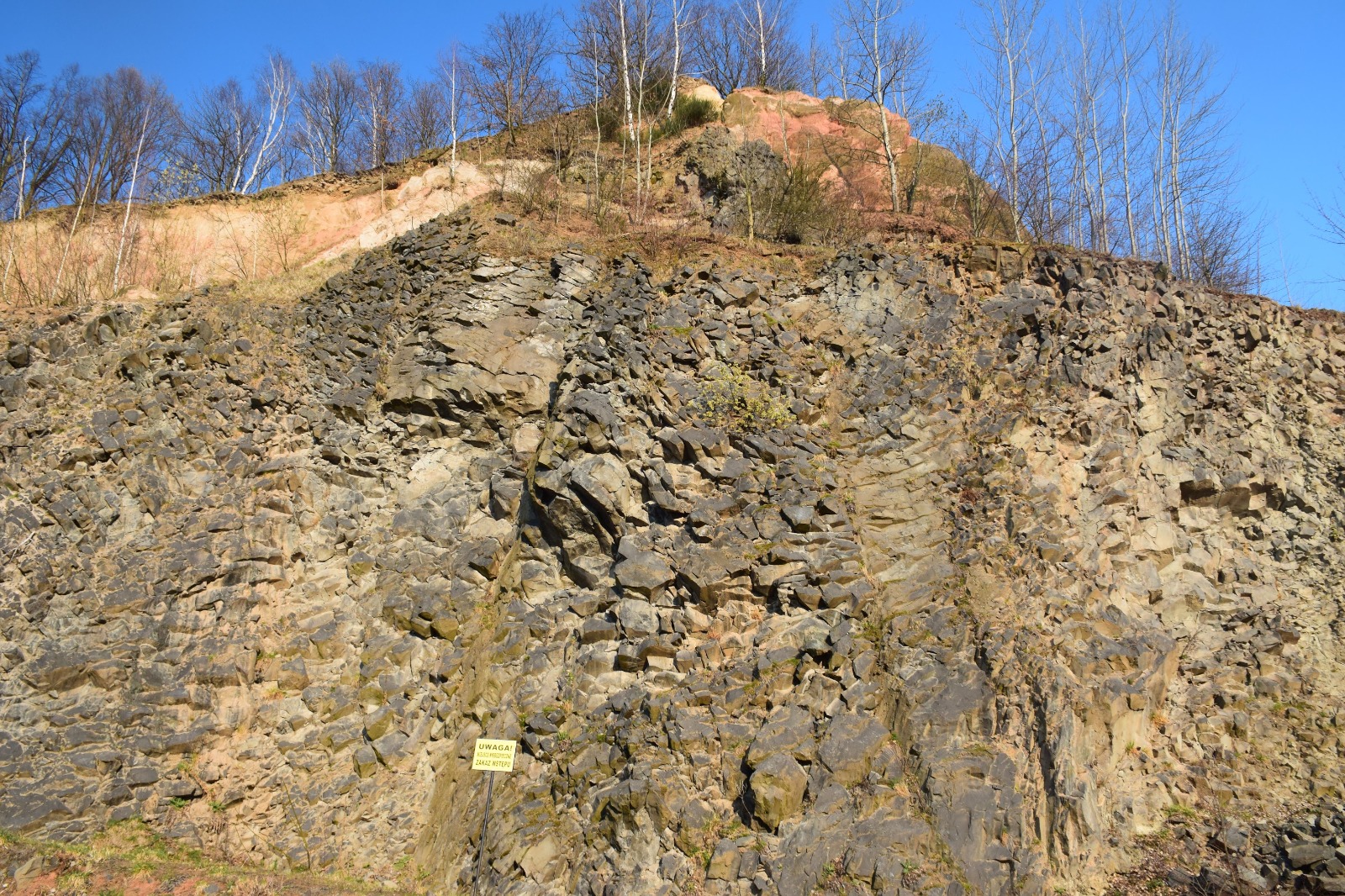 Wilkołak