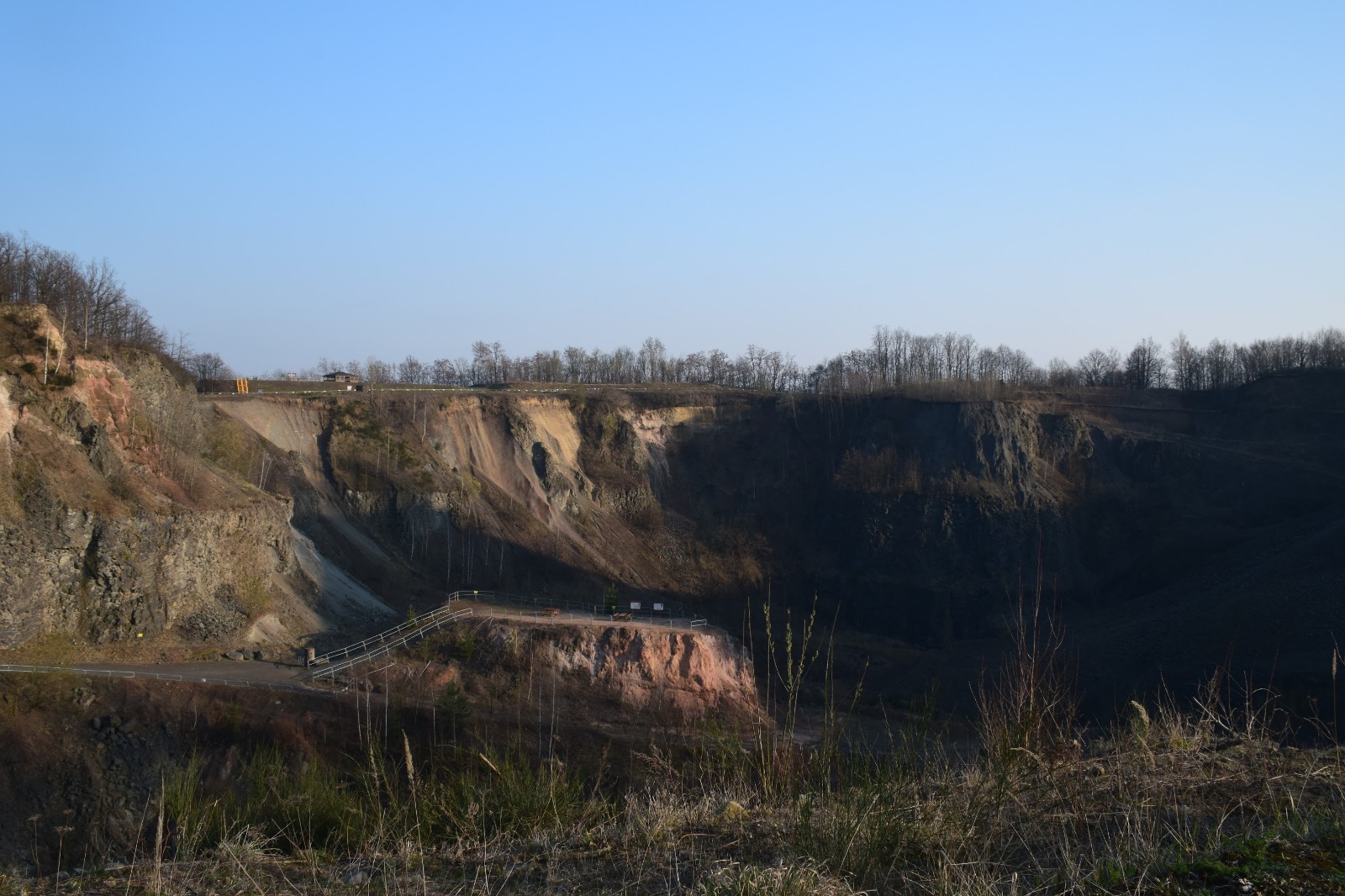 Wilkołak