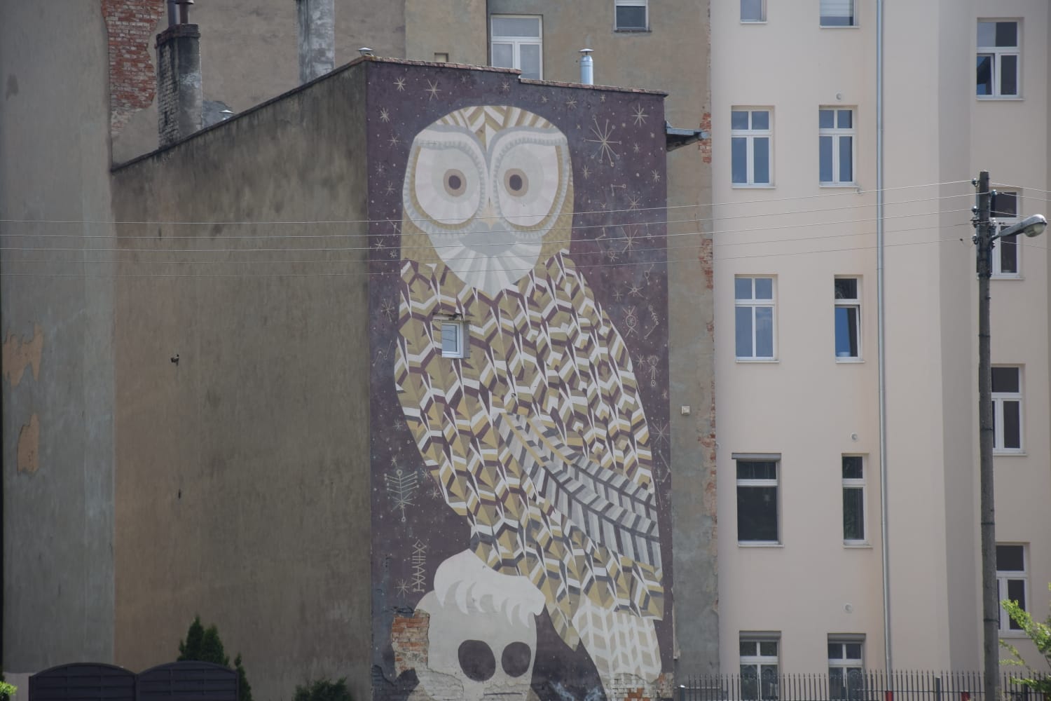 Świdnica - Murale