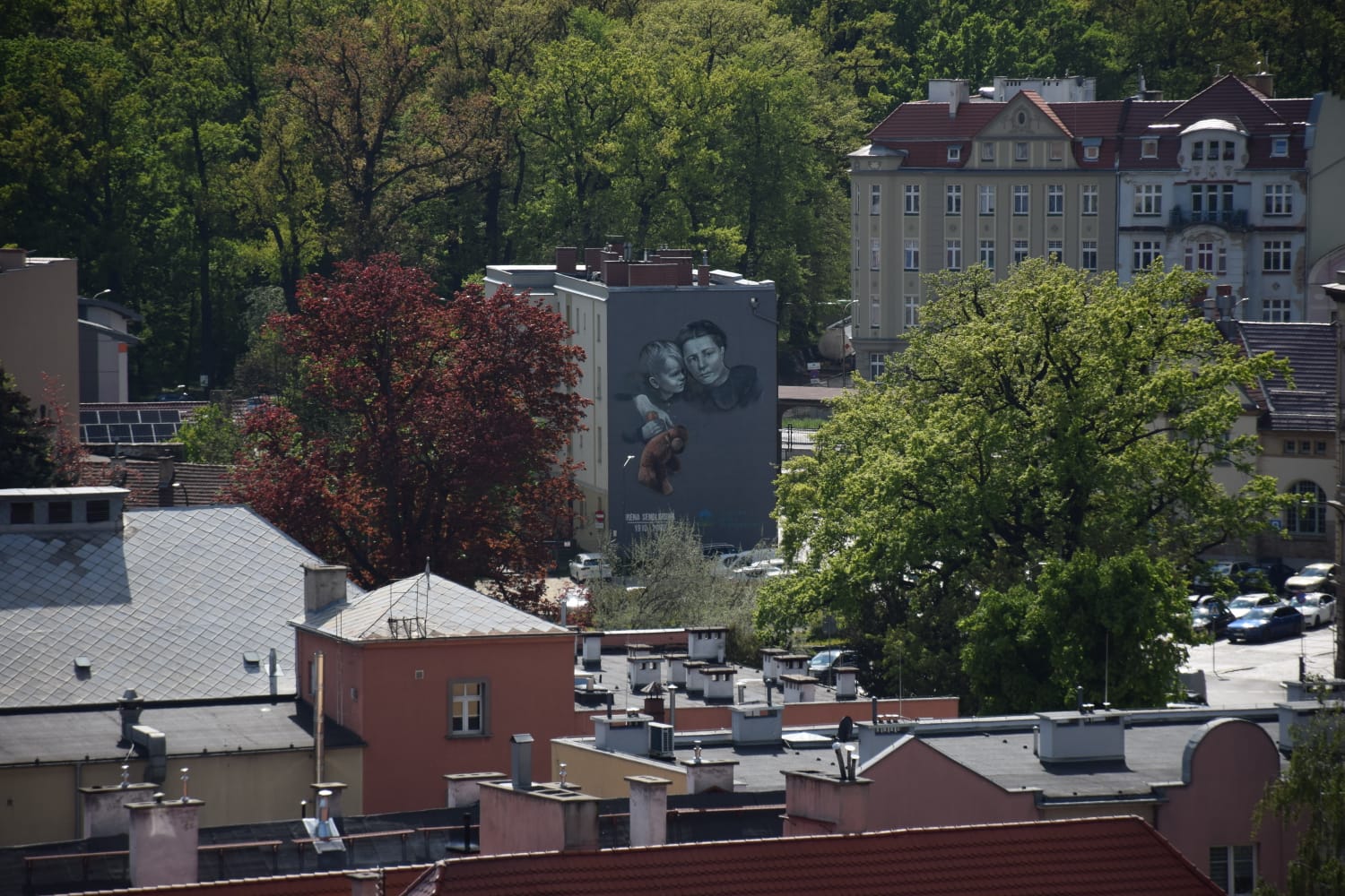 Świdnica - Murale